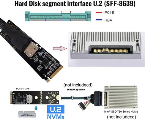 Adapter 2280 PCI-E4.0 M.2 M-Key NVME to Oculink SFF-8612 SFF-8611 Host Adapter with Linear Redriver for U.2 SSD eGPU Over Long Cable Lengths in Saudi Arabia