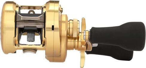 Shimano Calcutta Conquest MD Round Reels (CTCNQMD300XGLHB) Fishing in Saudi Arabia