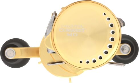Shimano Calcutta Conquest MD Round Reels (CTCNQMD300XGLHB) Fishing in Saudi Arabia