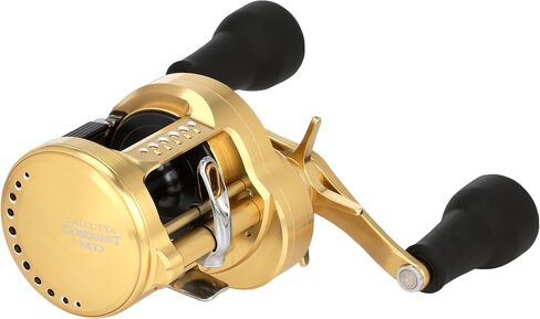 Shimano Calcutta Conquest MD Round Reels (CTCNQMD300XGLHB) Fishing in Saudi Arabia