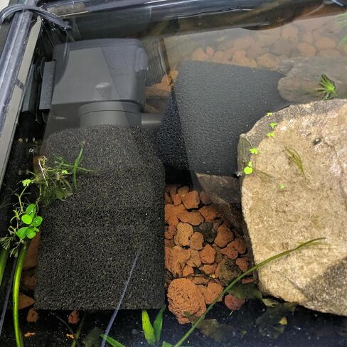 Qzbhct X-Large Foam Filter Sponges for Canister Filters Aquaclear 70/110 Filters Overflow Filter Box Intake Round Pre-Filter 5.91" x 4.13" in Kuwait