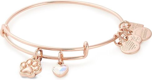 سوار سلكي قابل للتوسيع من Alex and Ani Tokens للنساء، سحر مزدوج بطباعة مخالب، لمسة نهائية لامعة، من 2 إلى 3.5 بوصة in Kuwait