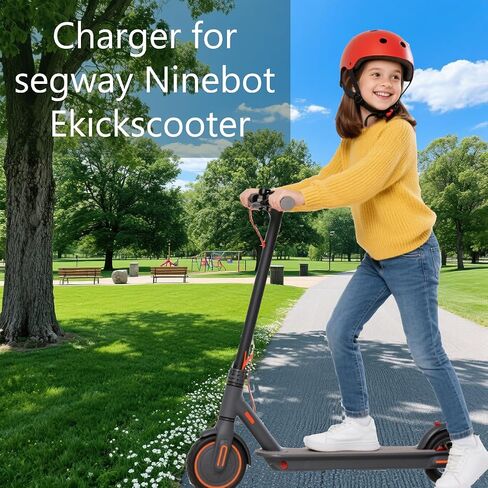 25.2V 1A DC/ACAdapter Compatible with Segway Ninebo Zing E8 E10 E12 C2 Pro C8 C9 C10 C15 C20 21.6V Li-ion Battery Kids Electric Scooter Charger Hoverboard in Saudi Arabia