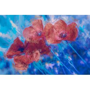Posterazzi PDX2253282LARGE Artwork, Large, Multi
