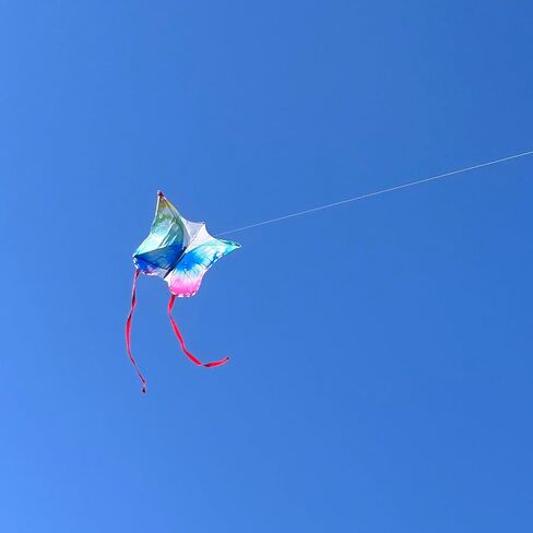 Butterfly Kite for Kids & Adults,Extremely Easy to Fly,Colorful Kite for Beginner in Saudi Arabia