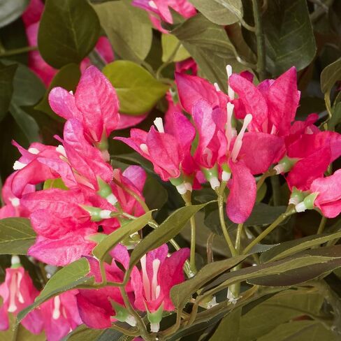 Nearly Natural Bougainvillea Artificial Tree in Saudi Arabia