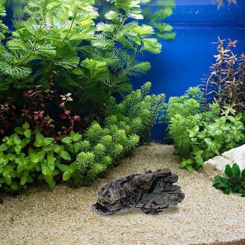POPETPOP Aquarium Stone Ornaments: Aquarium Decorations Cave Fake Rock Aquarium Mountain View Stone Aquarium Decoration Mountain Dragon Stone in Saudi Arabia