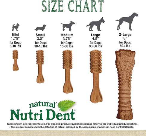 Nylabone Nutri Dent Dog Dental Chews - Natural Dog Teeth Cleaning & Breath Freshener - Dental Treats for Dogs - Filet Mignon Flavor, Small (64 Count) in Saudi Arabia