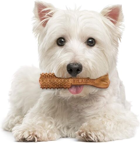 Nylabone Nutri Dent Dog Dental Chews - Natural Dog Teeth Cleaning & Breath Freshener - Dental Treats for Dogs - Filet Mignon Flavor, Small (64 Count) in Saudi Arabia