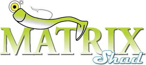 Fitzgerald Fishing Matrix Shad Rods Inshore Series in Kuwait