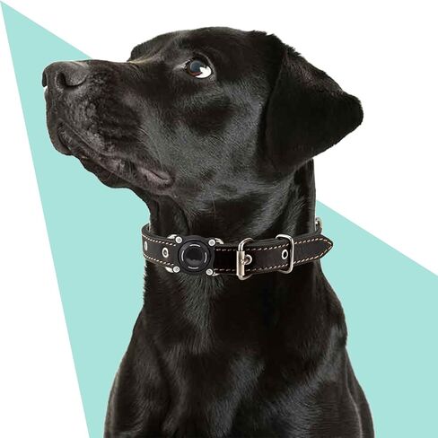 Waterproof Dog Collar Holder for Airtag – Dustproof, Ultra-Durable, Shockproof Case Compatible with Apple Air Tag (Not Included), Anti-Loss GPS Tracker Cover for Pets, Dogs, Cats in Saudi Arabia