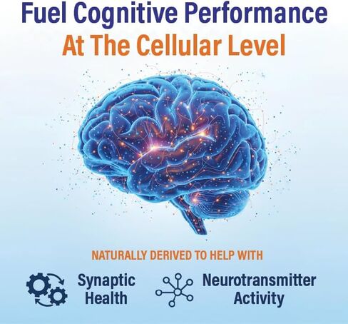 Neutein Natural Brain Booster for Memory, Concentration & Brain Health - Extra Strength Plant-Based Focus Supplement for Adults & Seniors, Made in USA (60 capsules/30 Serv) in Saudi Arabia