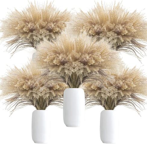 17" Pampas Grass ، Uieke 30 قطعة من الزهور الصناعية المجففة الطبيعية مجموعات كبيرة من حبوب القصب طويلة للمنزل حفلات الزفاف ديكور إكليل زهور بوهو ديكور بني in Kuwait