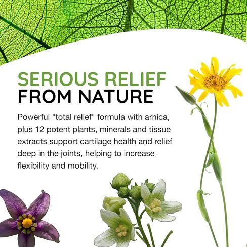 T-Relief Arthritis Arnica +12 دواء طبيعي للألم يساعد على تخفيف الألم وآلام تصلب المفاصل بشكل طبيعي للنساء والرجال - 100 قرص in Kuwait