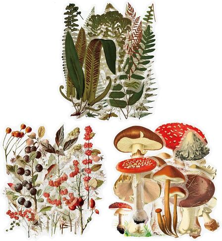 120pcs Plant Journaling Stickers, Waterproof Transparent Vintage Fern Mushroom Flower Nature Scrapbook Sticker for DIY Crafts Cards, Water Bottle, Phone Case, Laptop, Journal Album Decoration in Saudi Arabia