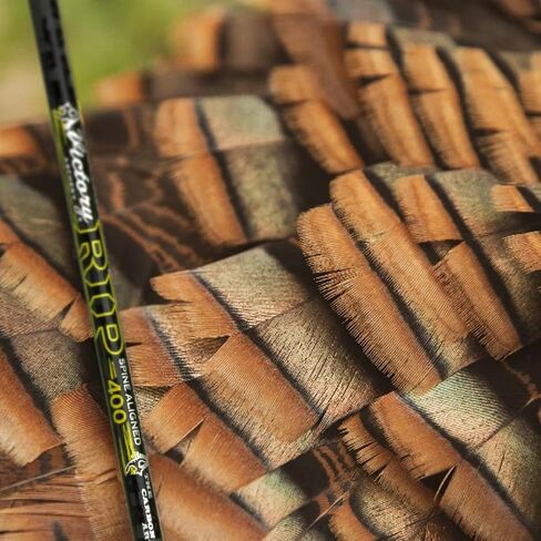 Victory Archery RIP 0.204" 250/300/350/400/500 Spine Small Diameter Carbon Hunting Arrow Vane Fletched 6 Pack in Kuwait