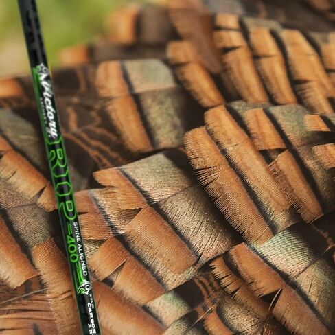 Victory Archery RIP 0.204" 250/300/350/400/500 Spine Small Diameter Carbon Hunting Arrow Vane Fletched 6 Pack in Kuwait