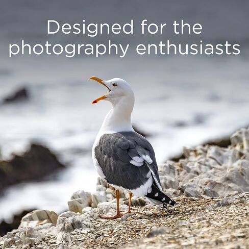 Integral 4GB CompactFlash Card Designed for The Photography Enthusiasts, Durable and Reliable in Kuwait