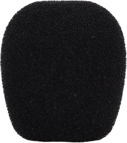 Drfeify Detachable Microphone with Gold Plated Plugs for Cloud, Easy Installation, for Replacement Use in Kuwait