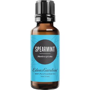 Edens Garden Eucalyptus- Radiata Essential Oil, 100% Pure Therapeutic Grade (Undiluted Natural/Homeopathic Aromatherapy Scented Essential Oil Singles) 10 ml