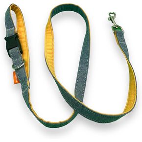Dog Leash with Buckle Handle - 120cm Strong Comfortable Dog Training Leads for Daily Walks, Helping Stop Pulling - Suitable Length for Small to Large Dogs (AquaBlaze, L)