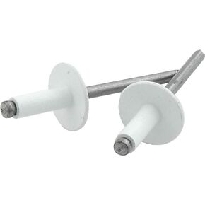 Allstar Performance ALL18156 Large Head Rivet, Aluminum, White, Pack of 250