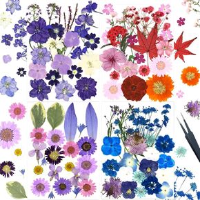 QVQQ Pressed Flowers Bulk 80pcs Natural Dried Flowers for Crafts Resin Molds Candle Making Art Decor Scrapbooking Makeup Wedding Invitations Brithday Gifts Dried Flowers with 1 Tweezers Garden Series