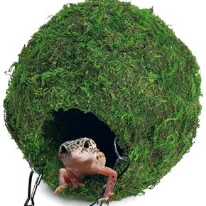 BYHER كهف مطحلب مع سلسلة، مخابئ الزواحف، كرة طحالب صناعية لإخفاء كهف للنمر، وسرطان البحر الناسك، والسحالي، والضفادع والثعابين ديكور تررم (الغابات - 6 بوصات) in Kuwait