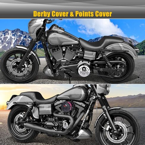 Sresk 3D Skull 5 Hole Motorcycle Derby Cover Timer Engine Timing Covers Protector for Harley Softail 1999-2014 Big Twin Cam EVO Touring Road King Electra Glide FLHR FLHX FXST Dyna (Chrome B) in Kuwait