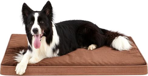 أسرّة للكلاب متوسطة الحجم من Made4Pets، سرير كلب كبير من الإسفنج الذكي على شكل بيضة مع غطاء قابل للإزالة، مرتبة سرير للحيوانات الأليفة مقاومة للماء للقطط الكبيرة، غطاء قطيفة قابل للغسل وغطاء رائع، مقاس 34 × 25 بني in Kuwait