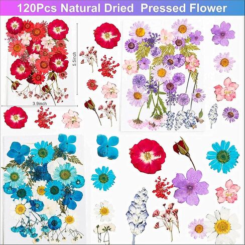 Luxx, Dried Flowers for Resin 120 Real Dried Pressed Flowers, Molds & Tweezers for DIY Art Crafts Dry Flower Kit with Large Natural Colorful Petals for Jewelry, Candle, Soap, Crafting, Scrapbooking in Saudi Arabia