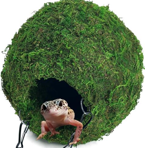 BYHER كهف مطحلب مع سلسلة، مخابئ الزواحف، كرة طحالب صناعية لإخفاء كهف للنمر، وسرطان البحر الناسك، والسحالي، والضفادع والثعابين ديكور تررم (الغابات - 6 بوصات) in Kuwait