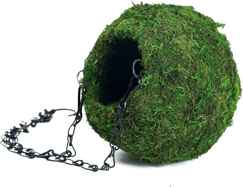 BYHER كهف مطحلب مع سلسلة، مخابئ الزواحف، كرة طحالب صناعية لإخفاء كهف للنمر، وسرطان البحر الناسك، والسحالي، والضفادع والثعابين ديكور تررم (الغابات - 6 بوصات) in Kuwait