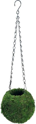 BYHER كهف مطحلب مع سلسلة، مخابئ الزواحف، كرة طحالب صناعية لإخفاء كهف للنمر، وسرطان البحر الناسك، والسحالي، والضفادع والثعابين ديكور تررم (الغابات - 6 بوصات) in Kuwait