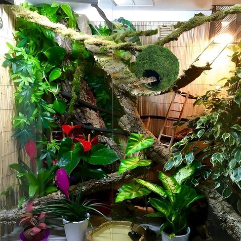 BYHER كهف مطحلب مع سلسلة، مخابئ الزواحف، كرة طحالب صناعية لإخفاء كهف للنمر، وسرطان البحر الناسك، والسحالي، والضفادع والثعابين ديكور تررم (الغابات - 6 بوصات) in Kuwait