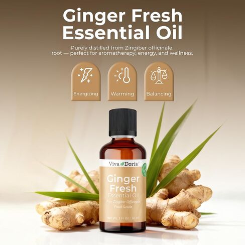 Viva Doria 100% Pure Ginger Fresh Essential Oil, Undiluted, Food Grade, 1 Fluid Ounce (30 mL) in Saudi Arabia