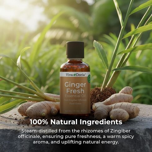 Viva Doria 100% Pure Ginger Fresh Essential Oil, Undiluted, Food Grade, 1 Fluid Ounce (30 mL) in Saudi Arabia