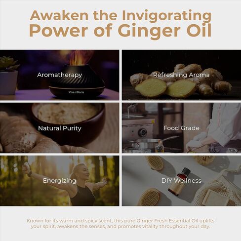 Viva Doria 100% Pure Ginger Fresh Essential Oil, Undiluted, Food Grade, 1 Fluid Ounce (30 mL) in Saudi Arabia