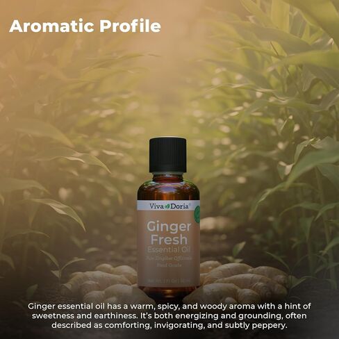 Viva Doria 100% Pure Ginger Fresh Essential Oil, Undiluted, Food Grade, 1 Fluid Ounce (30 mL) in Saudi Arabia
