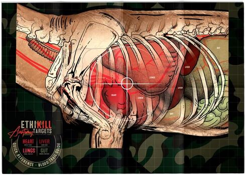 Life Size Deer Vitals 2 Sided Paper Range Target for Archery & Rifle Hunters by EthiKill - Realistic Anatomy Illustration - 19x27 inches (5 Pack) in Saudi Arabia