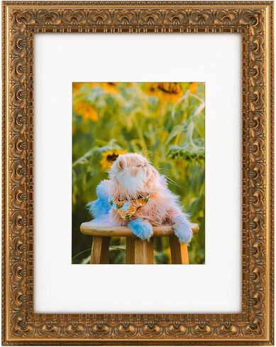 Frametory, Set of 2, 8x10 Ornate Picture Frame, Table Top or Wall Mount & Real Glass, Bronze in Saudi Arabia
