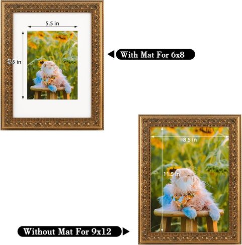 Frametory, Set of 2, 8x10 Ornate Picture Frame, Table Top or Wall Mount & Real Glass, Bronze in Saudi Arabia