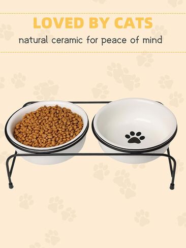 GDCZ Porcelain Raised Cat or Small Dog Bowls with Heighten Metal Stand and Non-Slip Bottom 15 Ounces (White) in Saudi Arabia
