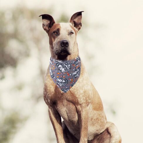 KZHAREEN Halloween Dog Bandana ذو وجهين مثلث المرايل إكسسوارات وشاح للكلاب والقطط والحيوانات الأليفة الصغيرة in Kuwait