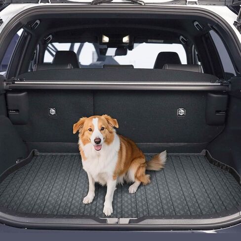 حصيرة Kust Floor for 2020-2025 Subaru Outback ، جميع شحنات الطقس حامي المقعد الخلفي TPE Rubber Rubber Trunk Liner High High ، حصيرة كاملة مجموعة من 6 in Saudi Arabia