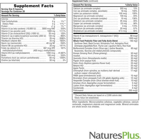 NaturesPlus Source of Life - 90 Tablets - Multivitamin & Mineral Supplement - Supports Natural Energy & Overall Well-Being - Gluten Free, Vegetarian - 30 Total Servings in Kuwait