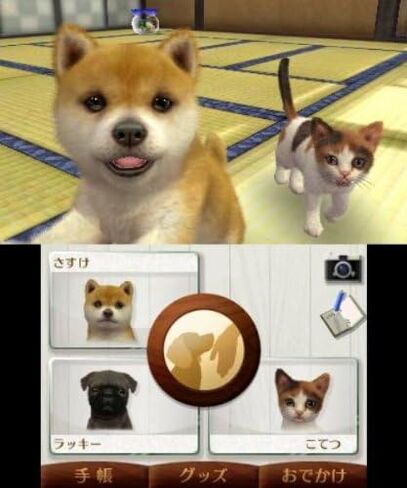 Nintendogs + Cats: Shiba & New Friends in Saudi Arabia