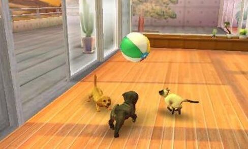 Nintendogs + Cats: Shiba & New Friends in Saudi Arabia
