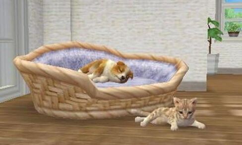 Nintendogs + Cats: Shiba & New Friends in Saudi Arabia