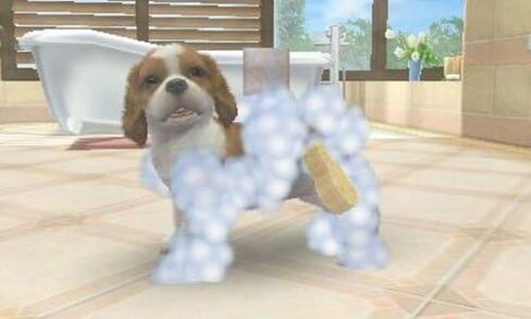Nintendogs + Cats: Shiba & New Friends in Saudi Arabia